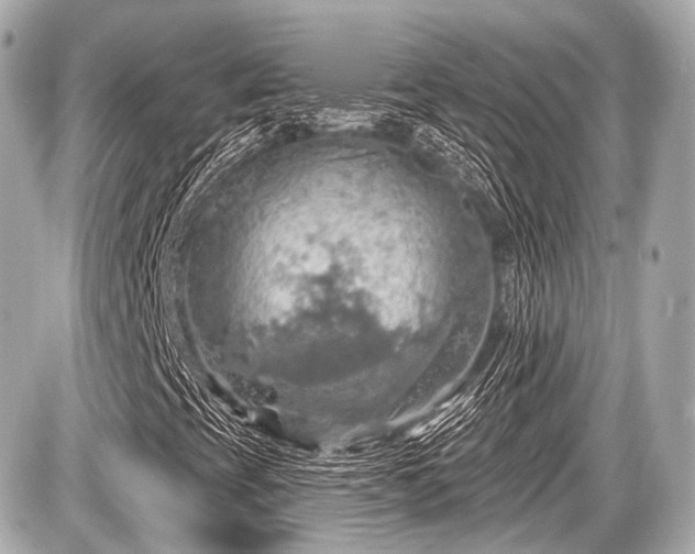 X0000087741393200705141213