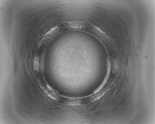 X0000087741394200705141213