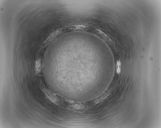X0000087741395200705141213
