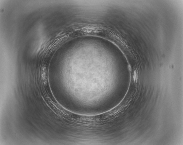 X0000087741396200705141213