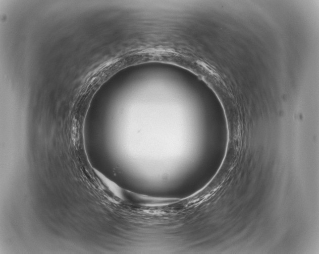 X0000087741398200705141213