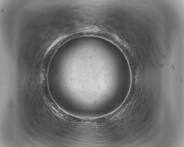 X0000087741400200705141213