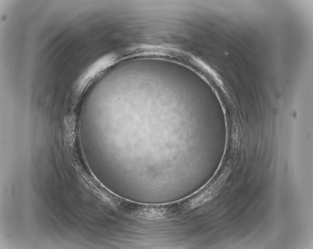 X0000087741411200705141213