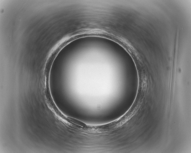 X0000087741414200705141213