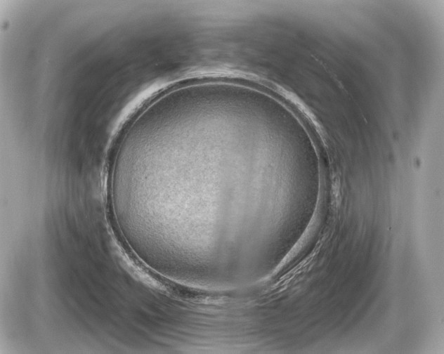 X0000087741416200705141213
