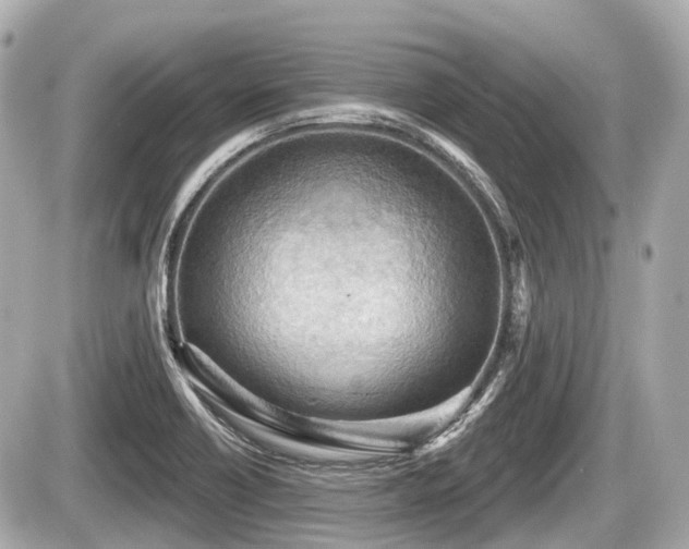 X0000087741418200705141213
