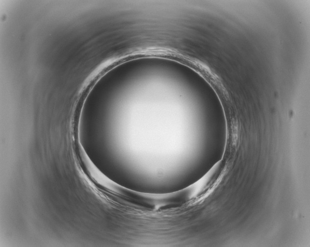 X0000087741422200705141213