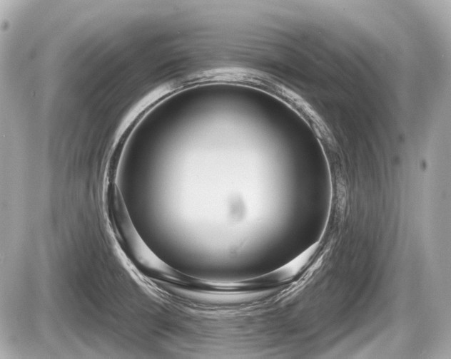 X0000087741426200705141214