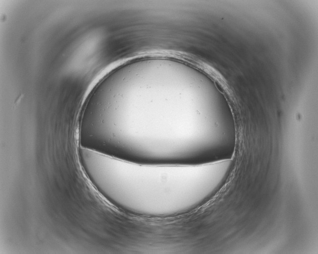 X0000087741428200705141214