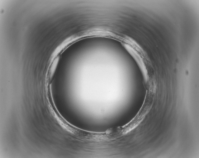 X0000087741430200705141214