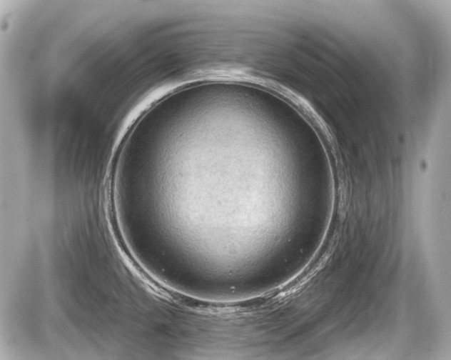 X0000087741432200705141214