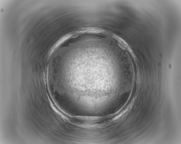 X0000087741433200705141214