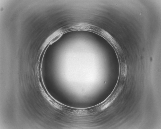 X0000087741434200705141214