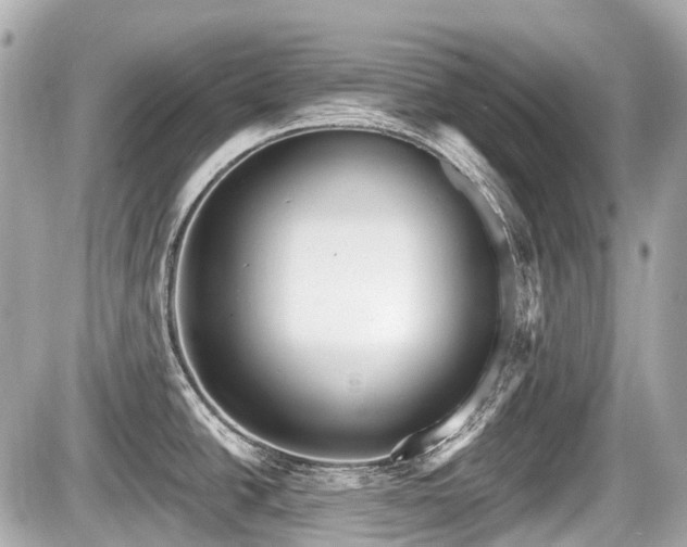 X0000087741438200705141214