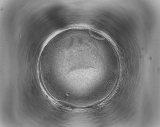 X0000087741440200705141214