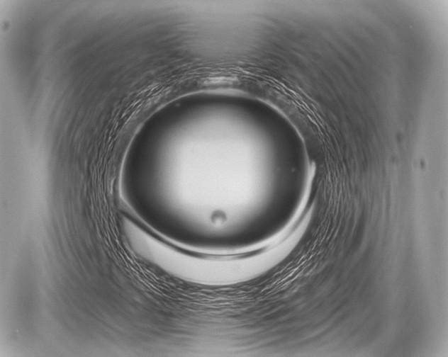 X0000087741441200705141213