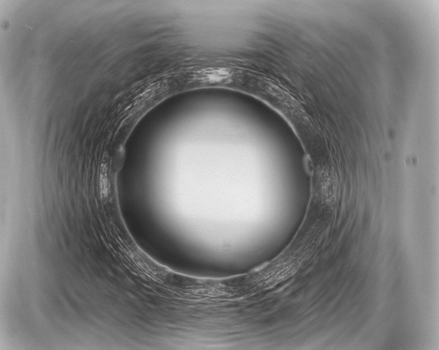 X0000087741442200705141213