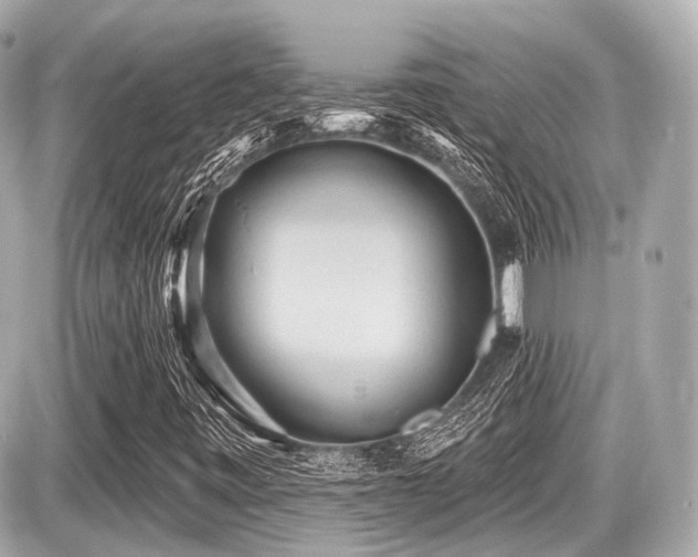 X0000087741443200705141213