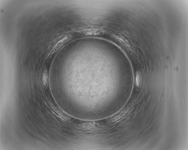 X0000087741444200705141213