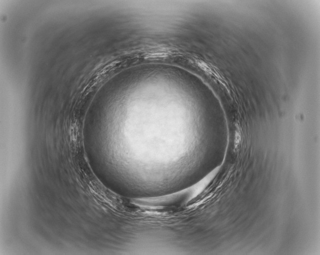 X0000087741445200705141213