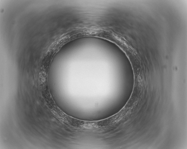 X0000087741447200705141213