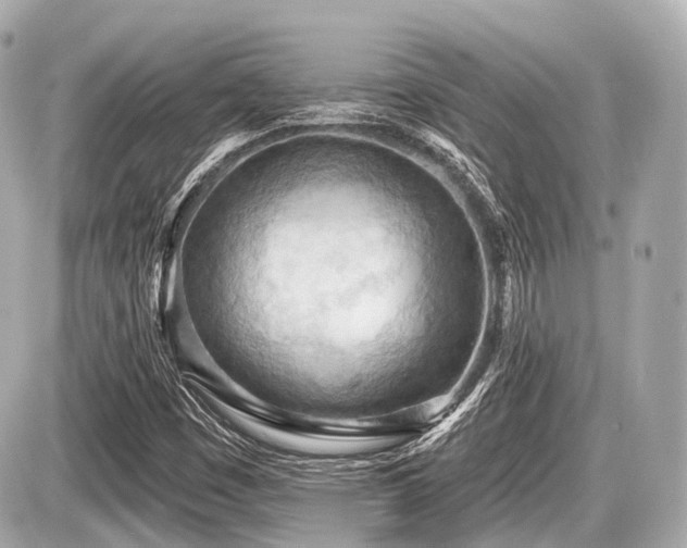 X0000087741449200705141213
