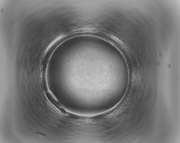 X0000087741450200705141213