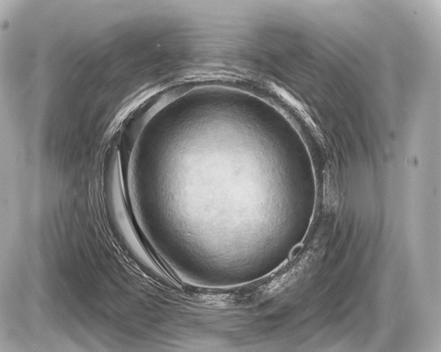 X0000087741453200705141213