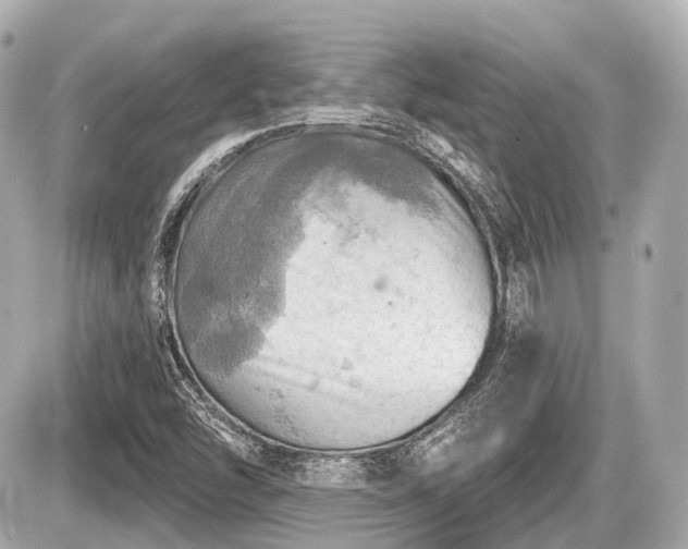 X0000087741454200705141213