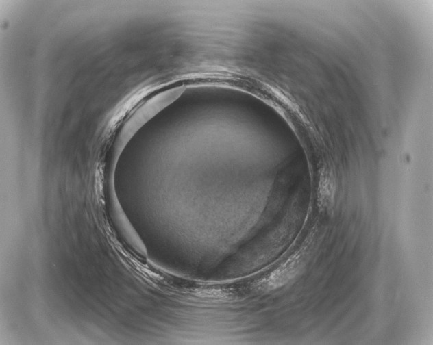 X0000087741455200705141213