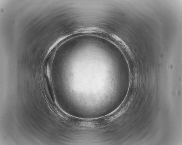 X0000087741457200705141213