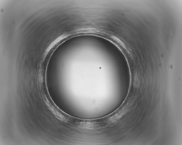 X0000087741458200705141213