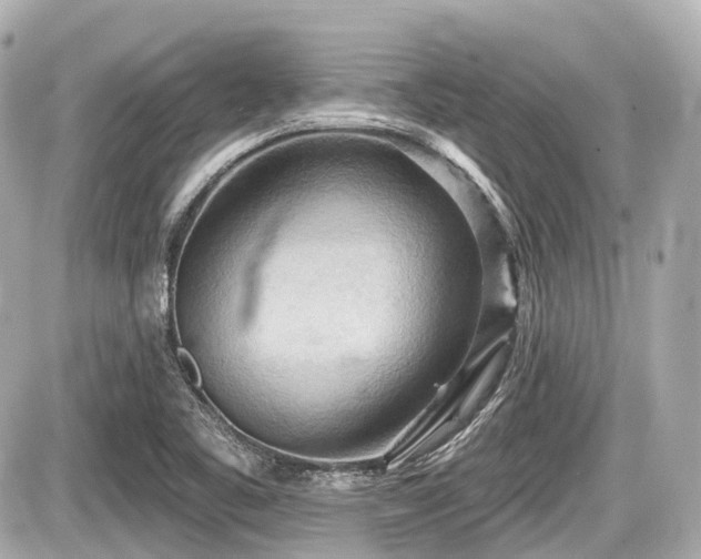 X0000087741461200705141213