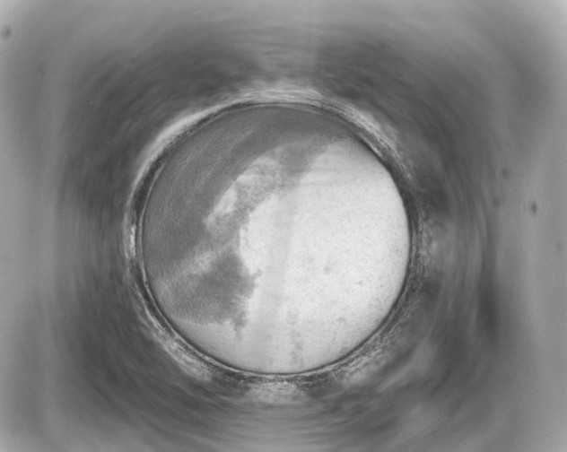 X0000087741462200705141213