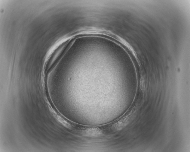 X0000087741464200705141213