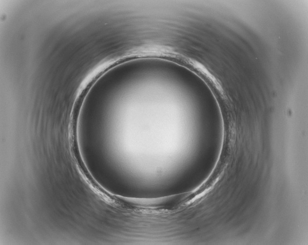 X0000087741469200705141213