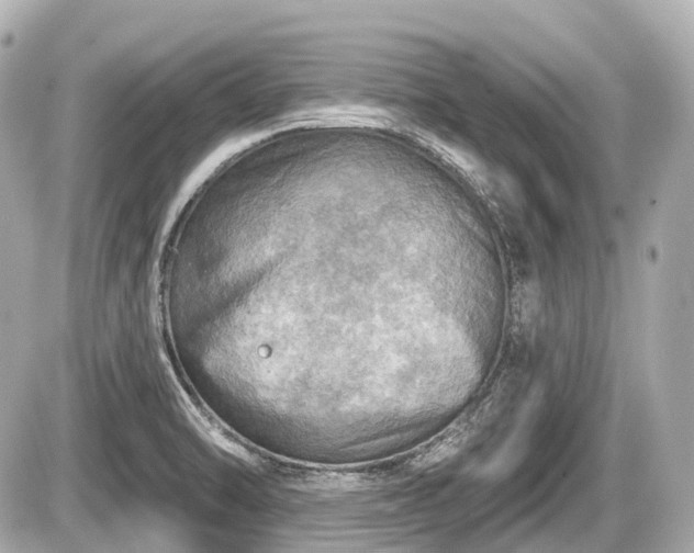 X0000087741470200705141213