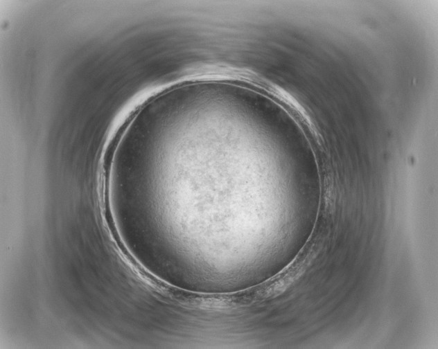 X0000087741472200705141212