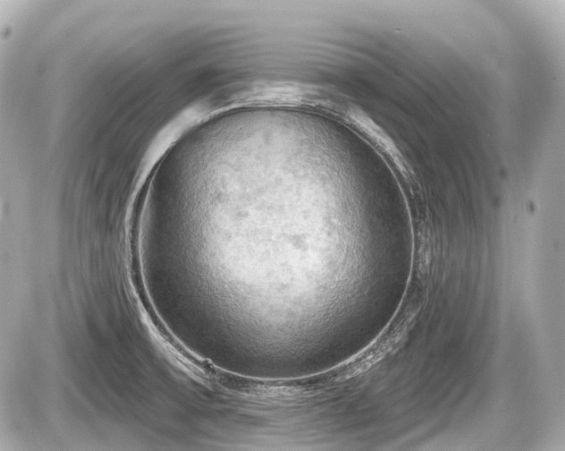 X0000087741475200705141212