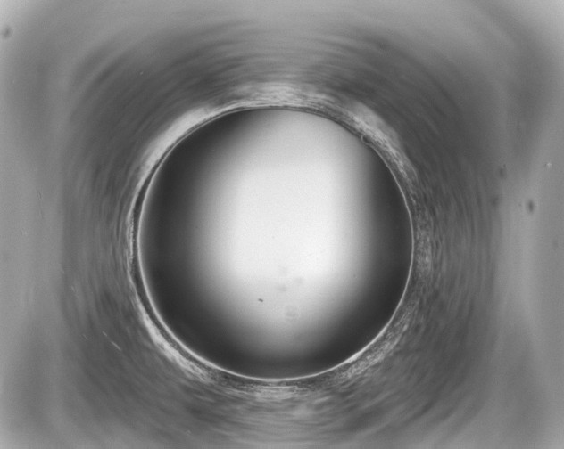 X0000087741479200705141212