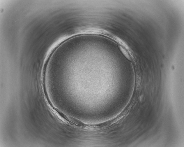 X0000087741480200705141212
