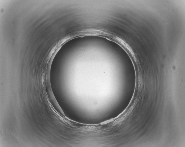 X0000087741481200705141212