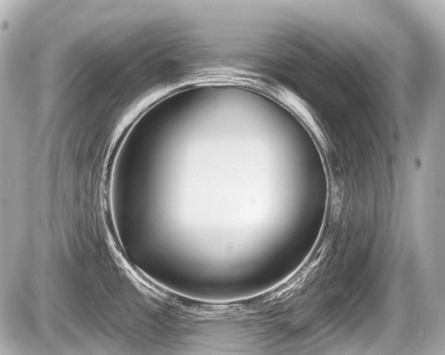 X0000087741485200705141212