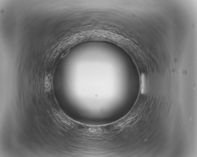 X0000087741491200705141211