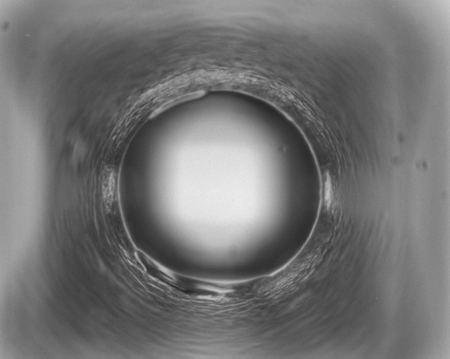 X0000087741492200705141212