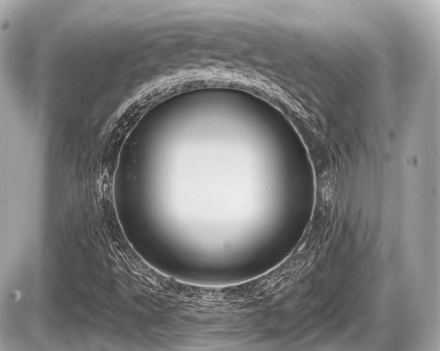 X0000087741495200705141212