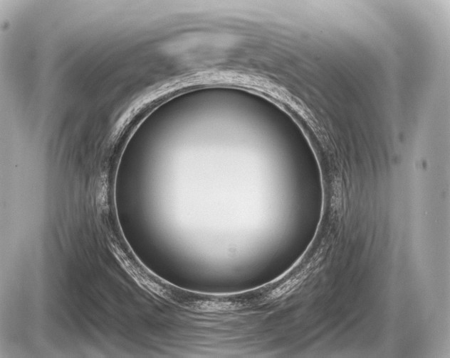 X0000087741499200705141212