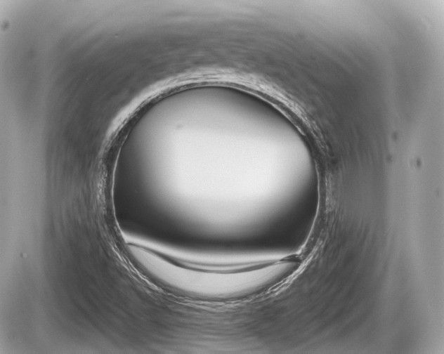 X0000087741502200705141212