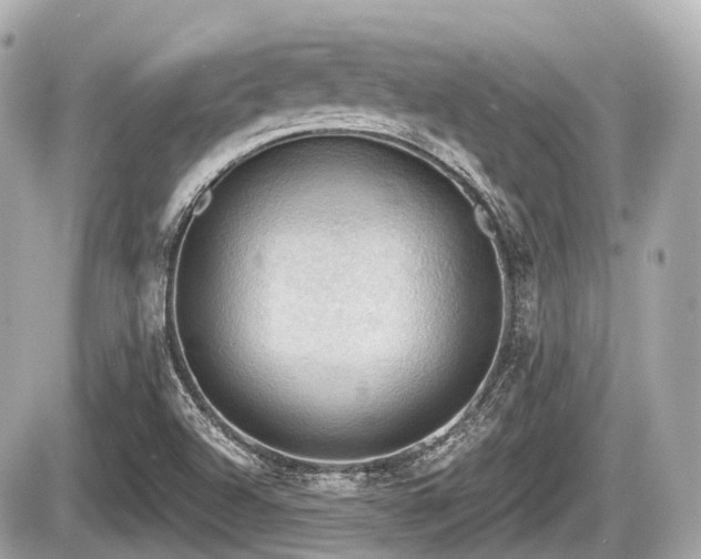 X0000087741504200705141212