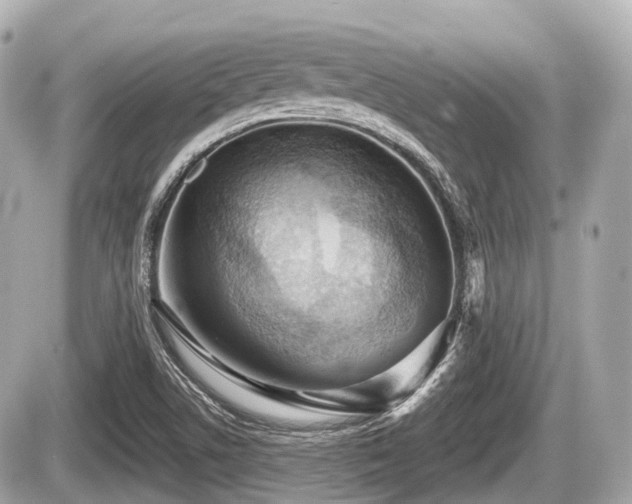 X0000087741506200705141212